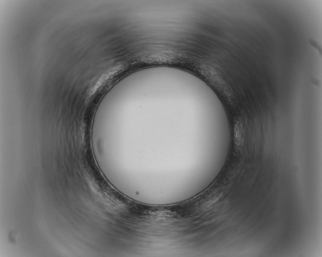 X0000103260396200809121928