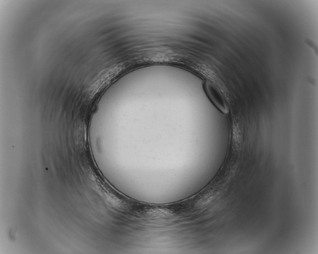 X0000103260397200809121928