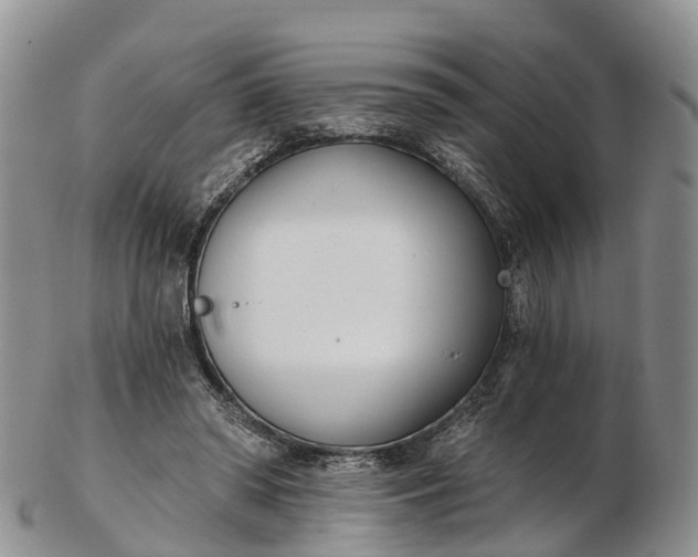 X0000103260398200809121928