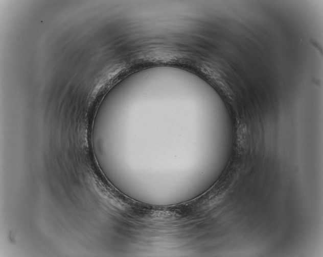 X0000103260399200809121928