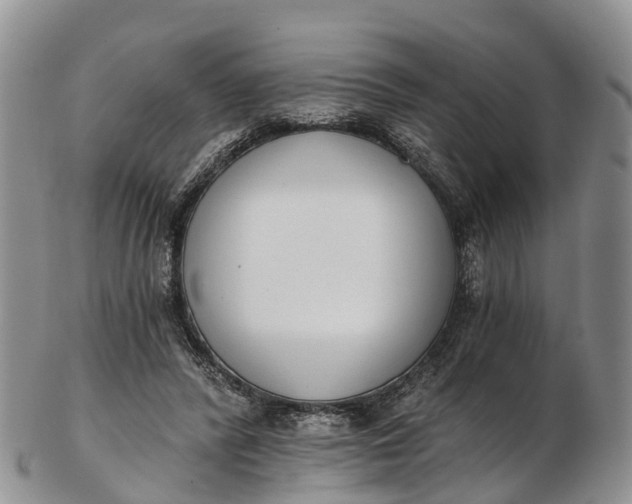 X0000103260400200809121928