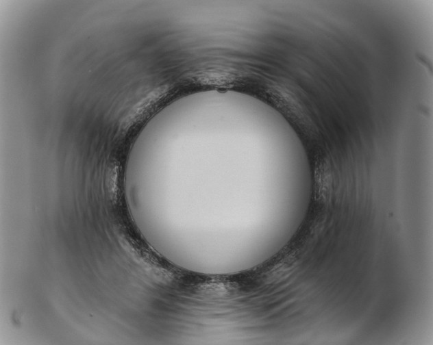 X0000103260404200809121928