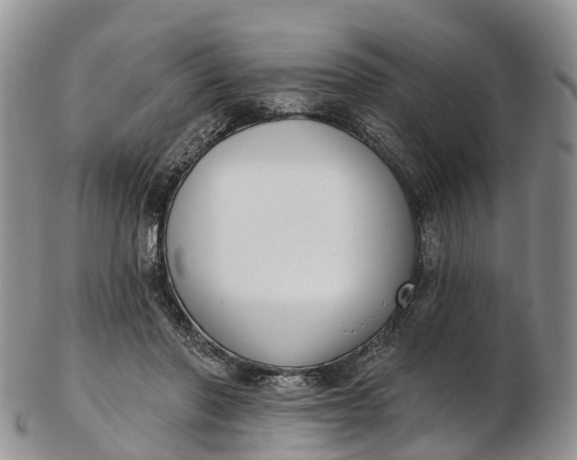 X0000103260406200809121928