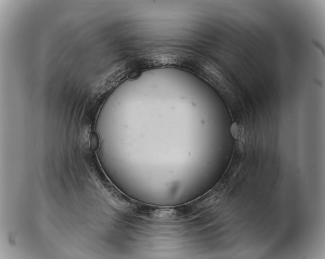 X0000103260410200809121927