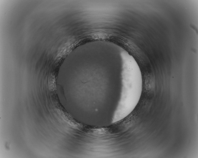 X0000103260411200809121927