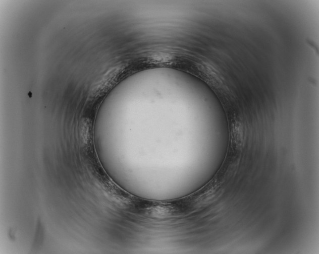 X0000103260412200809121927