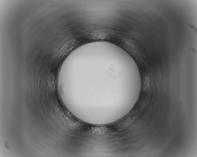 X0000103260414200809121927