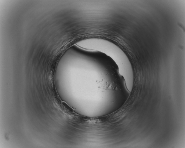 X0000103260415200809121927