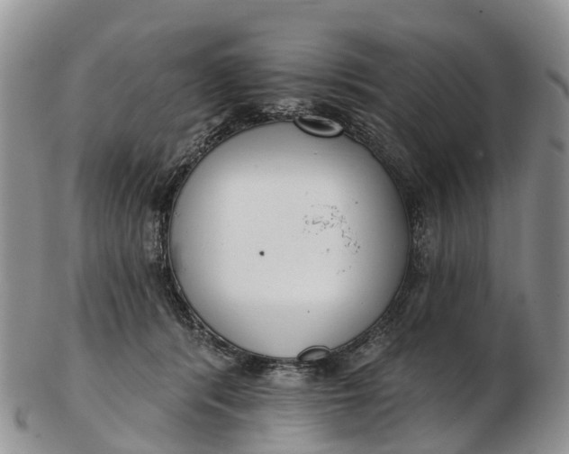 X0000103260416200809121927