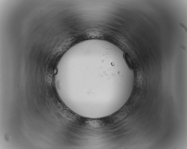 X0000103260417200809121927