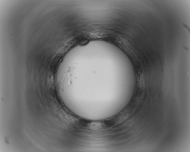 X0000103260418200809121927