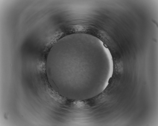 X0000103260419200809121927