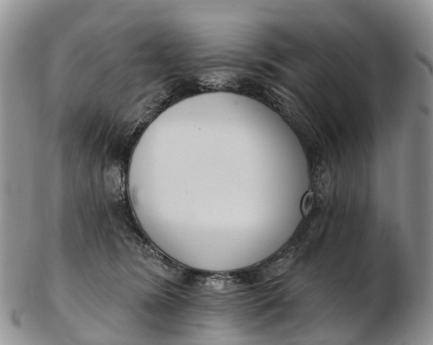 X0000103260420200809121927