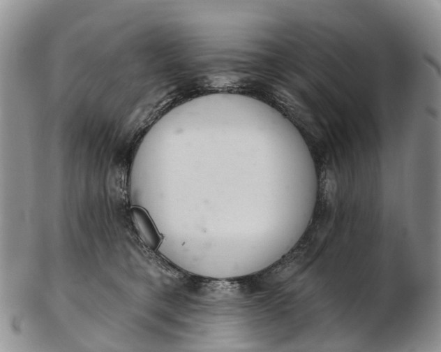 X0000103260421200809121927