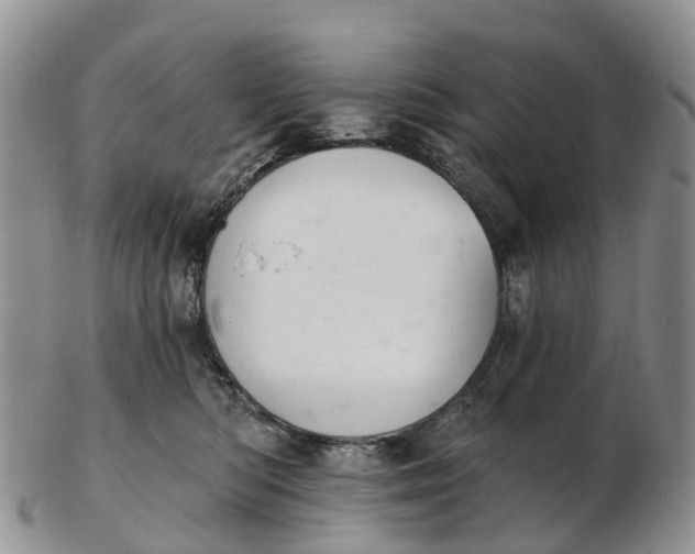 X0000103260422200809121927