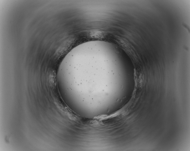 X0000103260424200809121927