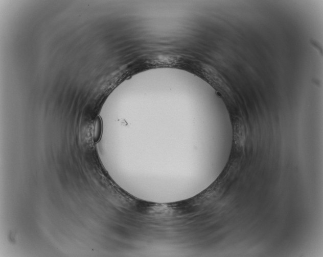 X0000103260425200809121927