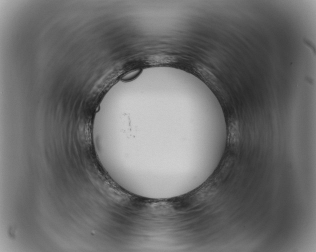 X0000103260426200809121927