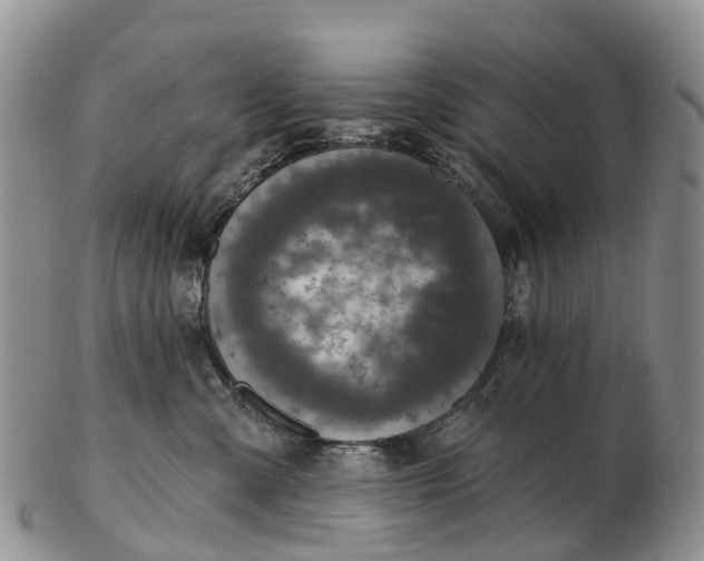 X0000103260427200809121927