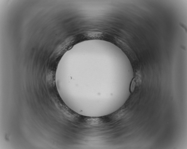 X0000103260428200809121927