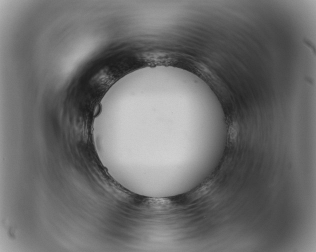 X0000103260429200809121927