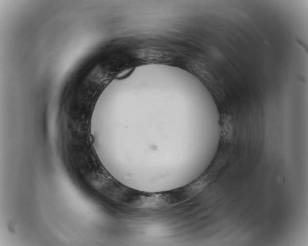 X0000103260430200809121927