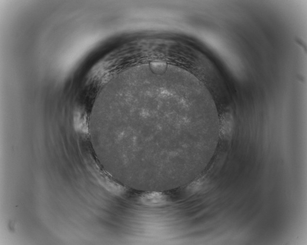 X0000103260431200809121927