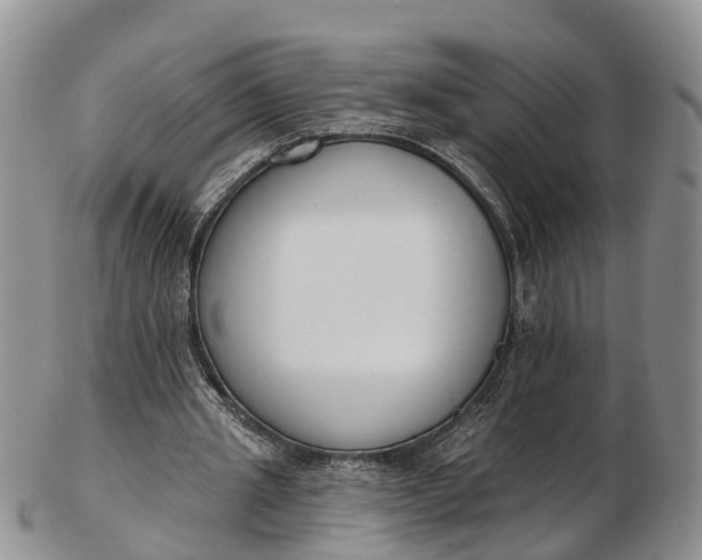 X0000103260437200809121927