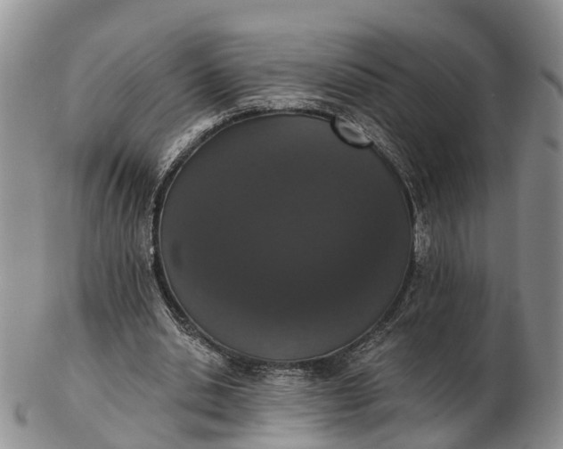 X0000103260438200809121927