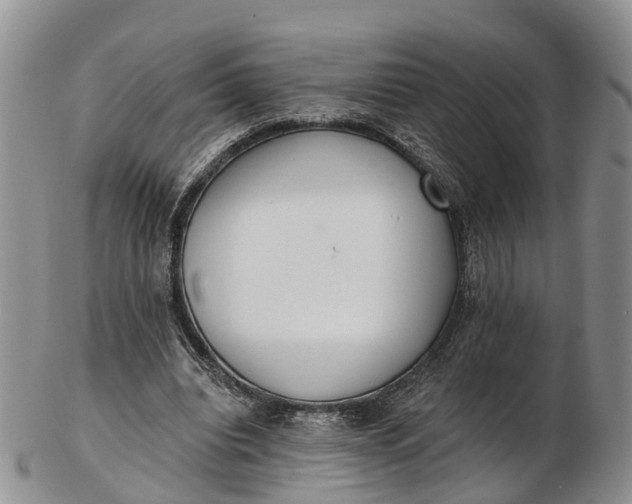 X0000103260440200809121927