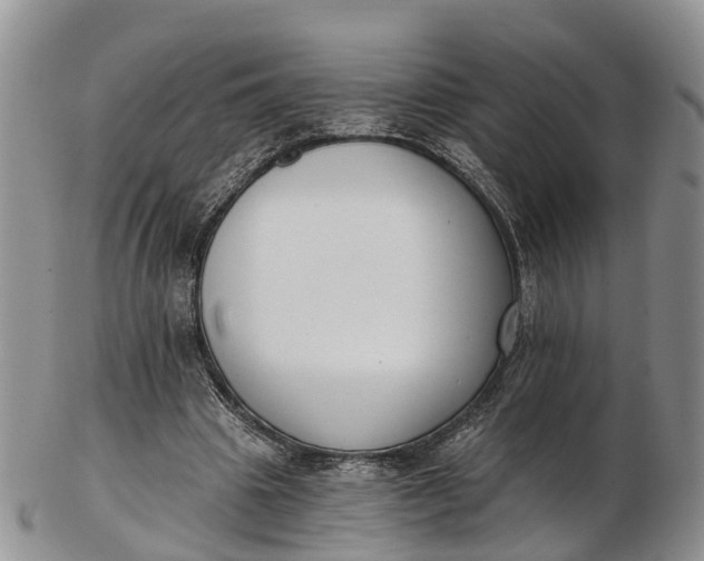 X0000103260441200809121927