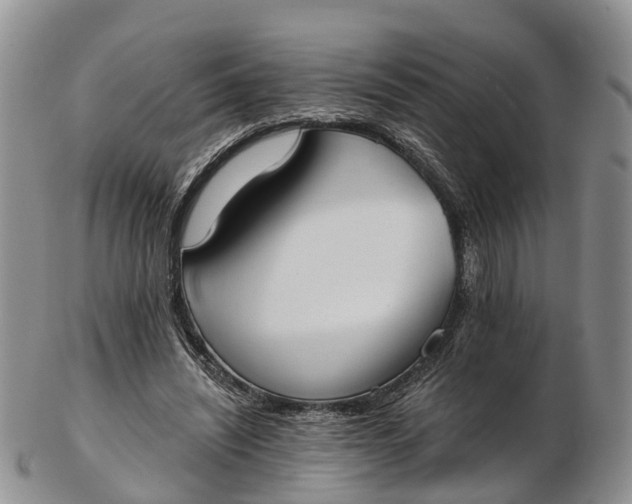 X0000103260444200809121927