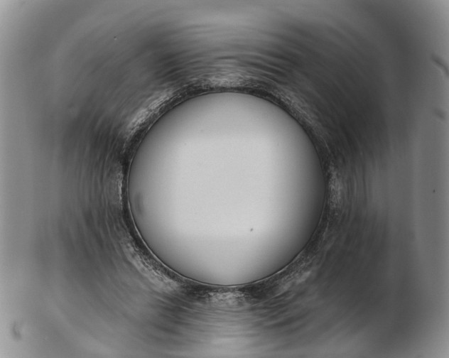 X0000103260446200809121927