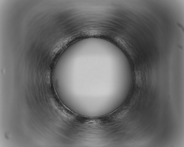 X0000103260447200809121927