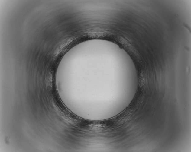 X0000103260448200809121927