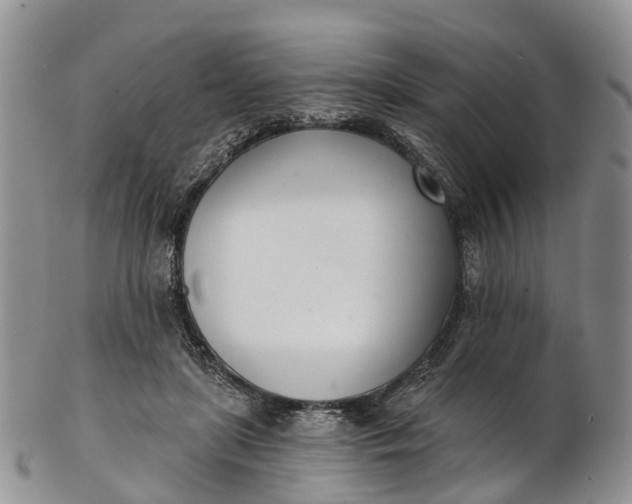 X0000103260451200809121927