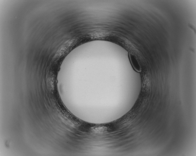 X0000103260452200809121927