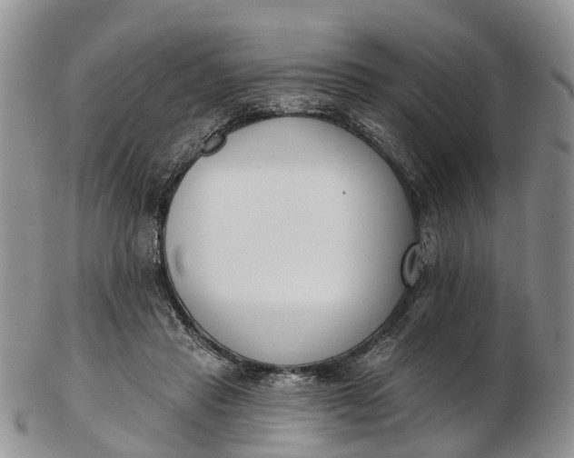 X0000103260453200809121927