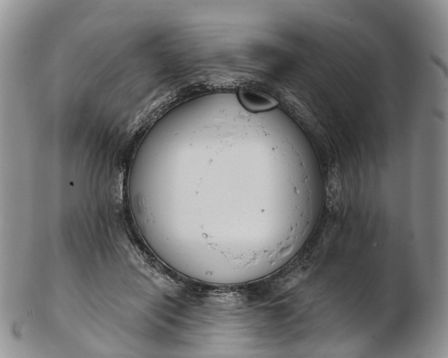 X0000103260454200809121927