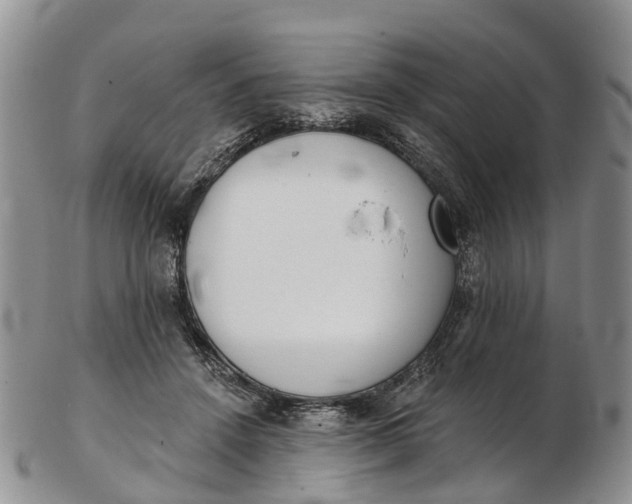 X0000103260456200809121927