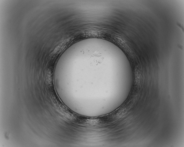 X0000103260457200809121927