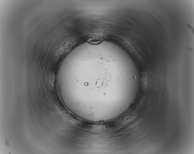 X0000103260458200809121927