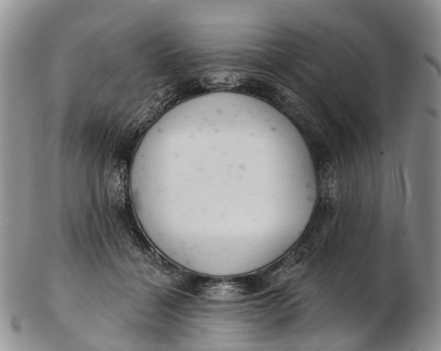 X0000103260460200809121927