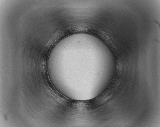 X0000103260462200809121927