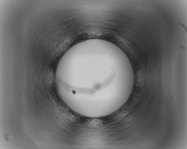 X0000103260463200809121927