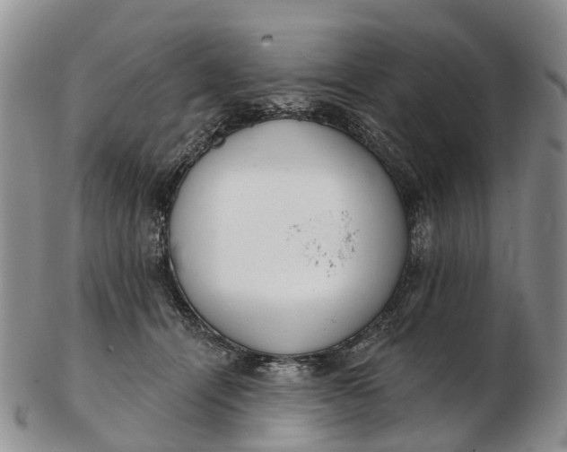 X0000103260464200809121927