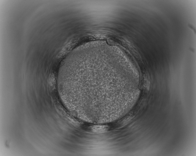 X0000103260465200809121927