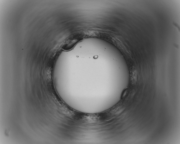 X0000103260466200809121927