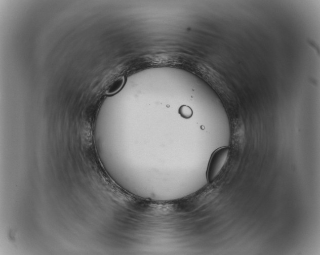 X0000103260469200809121927