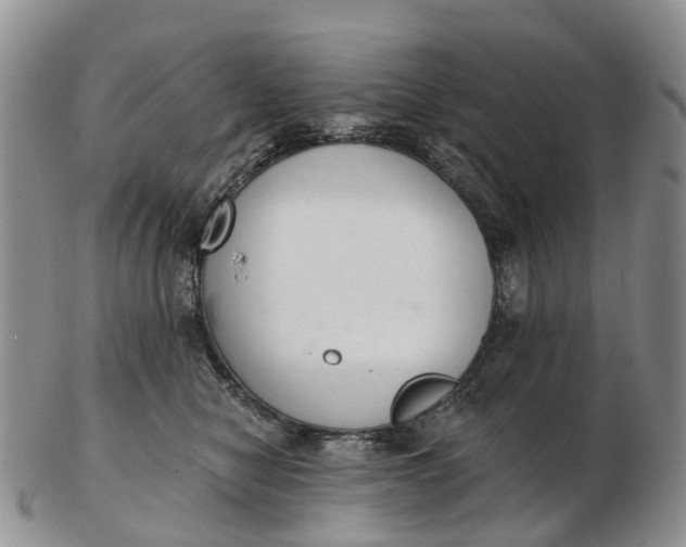 X0000103260470200809121927